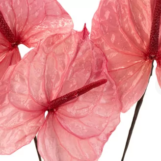 Preserved Anthurium Pink (set of 3)