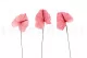 Preserved Anthurium Pink (set of 3) 7
