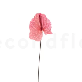 Preserved Anthurium Pink (set of 3)