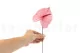 Preserved Anthurium Pink (set of 3) 3