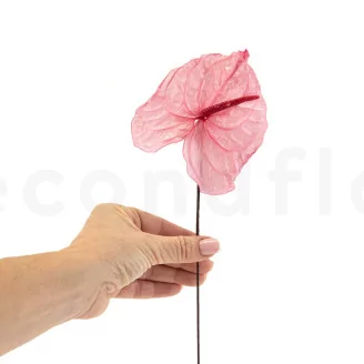 Preserved Anthurium Pink (set of 3)