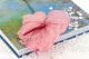 Preserved Anthurium Pink (set of 3) 10