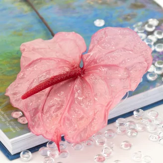 Preserved Anthurium Pink (set of 3)