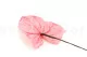 Preserved Anthurium Pink (set of 3) 11