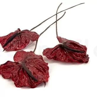 Preserved Anthurium Red (set of 3)