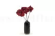 Preserved Anthurium Red (set of 3) 3