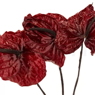 Preserved Anthurium Red (set of 3)