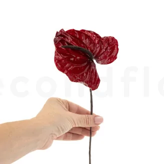 Preserved Anthurium Red (set of 3)