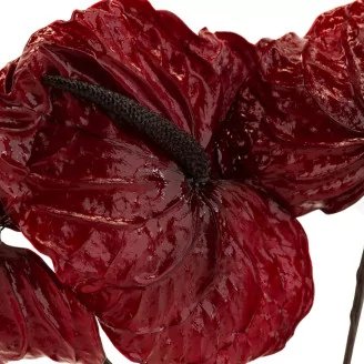 Preserved Anthurium Red (set of 3)