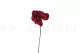 Preserved Anthurium Red (set of 3) 10
