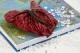 Preserved Anthurium Red (set of 3) 11