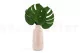 Preserved Monstera Leaf (set of 3) 2