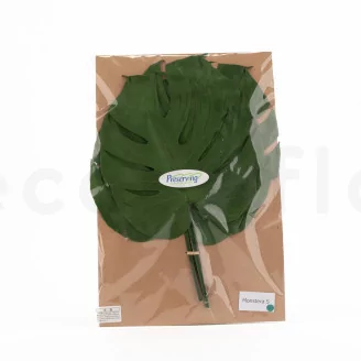 Preserved Monstera Leaf (set of 3)