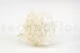 Preserved Hydrangea White 5
