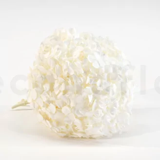 Preserved Hydrangea White