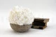Preserved Hydrangea White 4