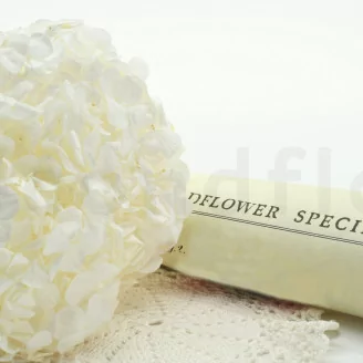 Preserved Hydrangea White