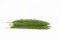 A Bunch of Green Preserved Foxtail Stems