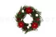 Poinsettia Flower Red 9