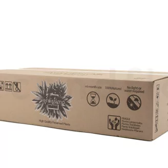 Preserved Sheet Moss (Bulk Box)