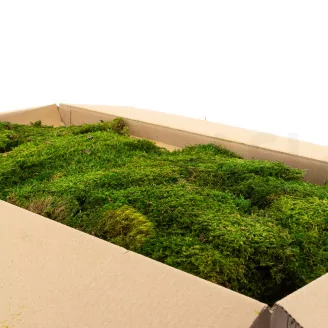 Preserved Sheet Moss (Bulk Box)