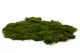 Preserved Sheet Moss (Bulk Box) 4