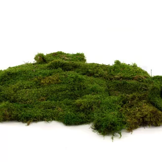 Preserved Sheet Moss (Bulk Box)