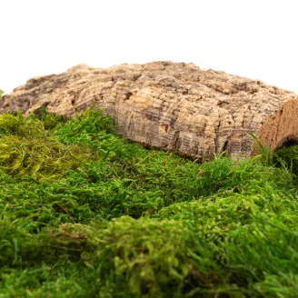 Preserved Sheet Moss (Bulk Box)