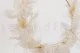 Preserved Hydrangea White 10