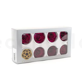 Preserved Rose L Velvet Plum (set of 8)