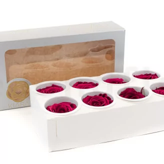 Preserved Rose L Velvet Plum (set of 8)
