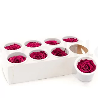 Preserved Rose L Velvet Plum (set of 8)