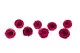 Preserved Rose L Velvet Plum (set of 8) 2