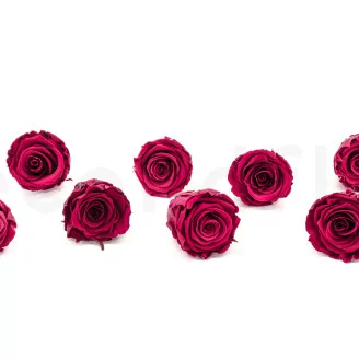 Preserved Rose L Velvet Plum (set of 8)