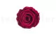 Preserved Rose L Velvet Plum (set of 8) 9