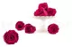 Preserved Rose L Velvet Plum (set of 8) 7