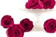 Preserved Rose L Velvet Plum (set of 8) 10