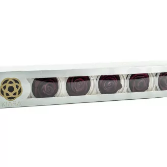 Preserved Rose XL Velvet Plum (set of 6)