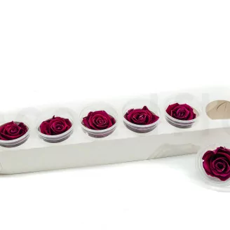 Preserved Rose XL Velvet Plum (set of 6)