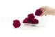 Preserved Rose XL Velvet Plum (set of 6) 9