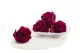 Preserved Rose XL Velvet Plum (set of 6) 1