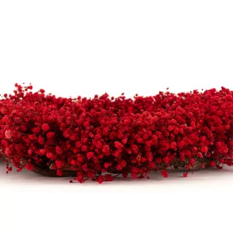 Preserved Baby's Breath Gypsophila Wreath Red