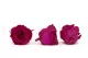 Preserved Rose XL Hot Pink (set of 6) 4