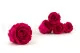 Preserved Rose L Hot Pink (set of 8) 1