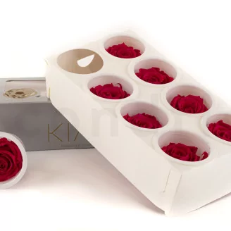 Preserved Rose L Hot Pink (set of 8)