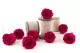 Preserved Rose L Hot Pink (set of 8) 5