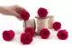 Preserved Rose L Hot Pink (set of 8) 7