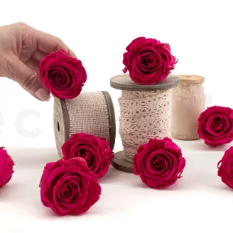 Preserved Rose L Hot Pink (set of 8)