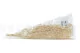 Preserved Amaranthus White 7
