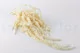 Preserved Amaranthus White 6
